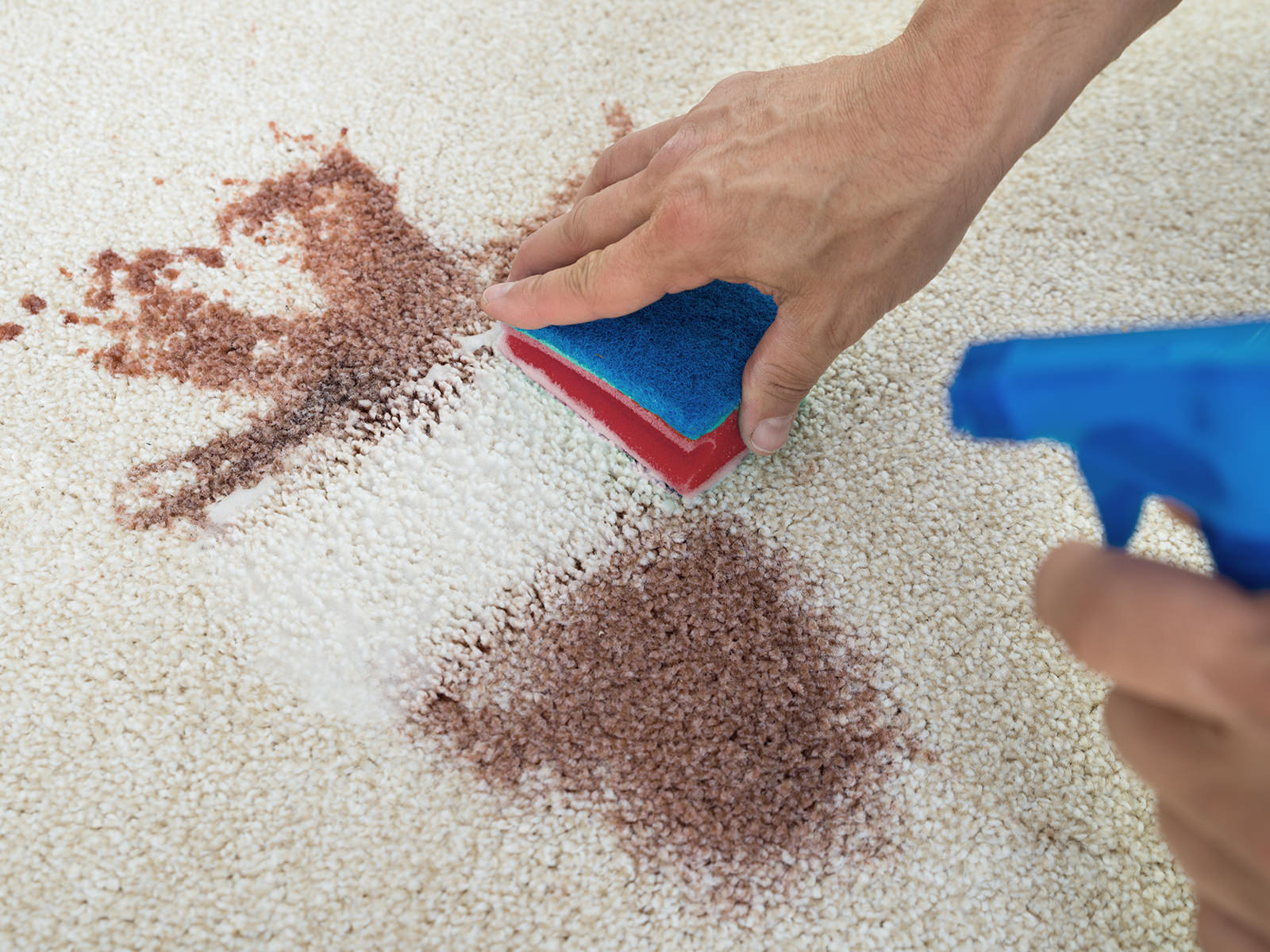 Textilbodenreinigung